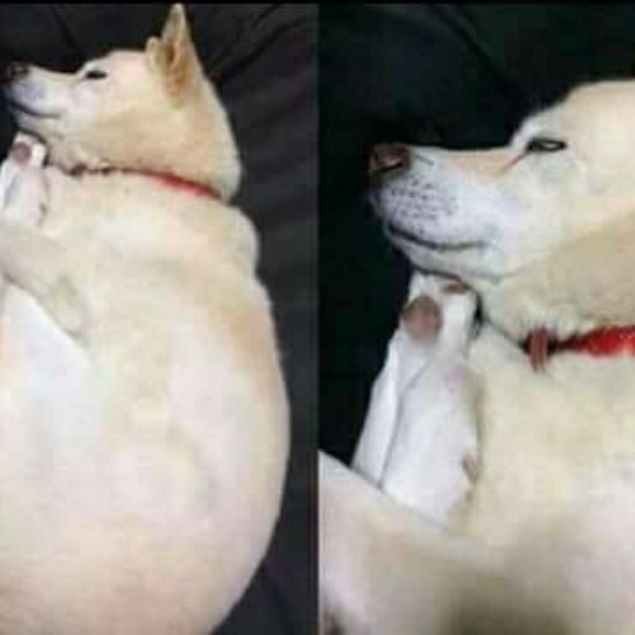 High end custom. Vintage leather, belts, hemp and - Picture 3 of 4